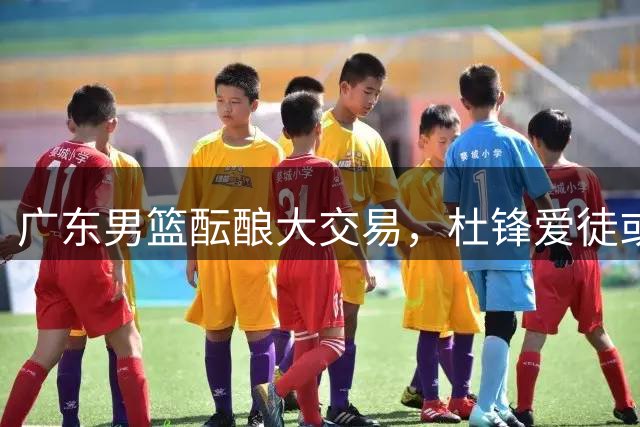 广东男篮酝酿大交易，杜锋爱徒或成换取榜眼签的关键筹码