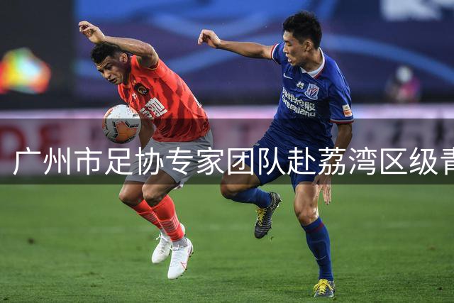 广州市足协专家团队赴荔湾区级青训中心调研 把脉青训发展路径