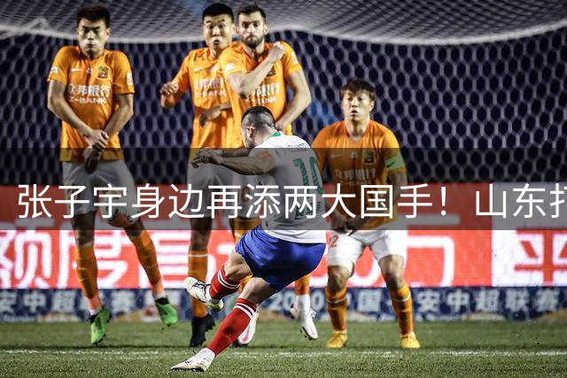 张子宇身边再添两大国手！山东打造豪华阵容，新赛季有望冲总冠军
